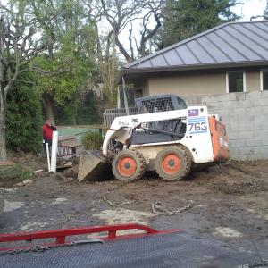 Bobcat